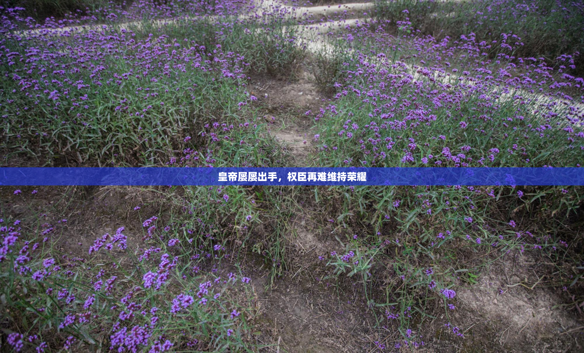 皇帝屡屡出手，权臣再难维持荣耀