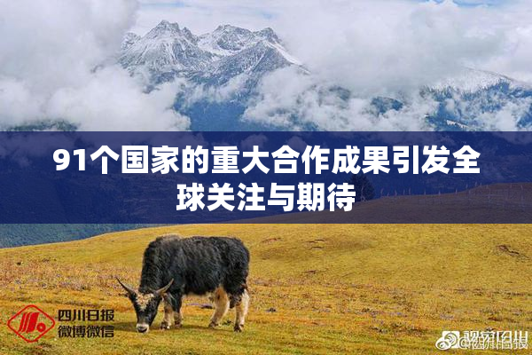 91个国家的重大合作成果引发全球关注与期待