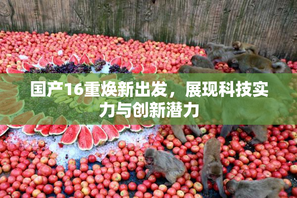 国产16重焕新出发，展现科技实力与创新潜力
