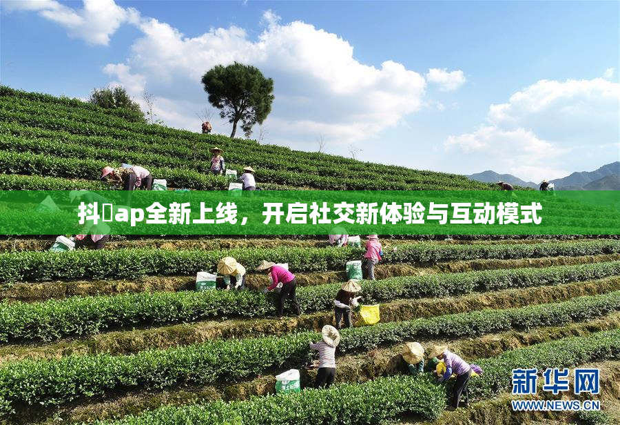 抖抈ap全新上线，开启社交新体验与互动模式