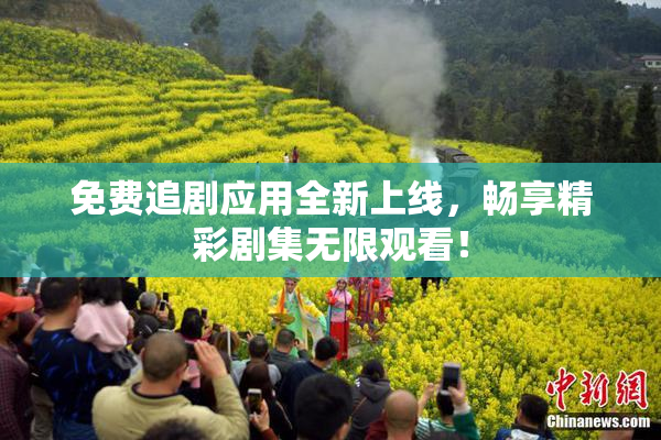 免费追剧应用全新上线，畅享精彩剧集无限观看！