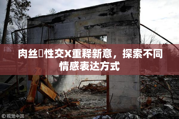 肉丝祙性交X重释新意，探索不同情感表达方式