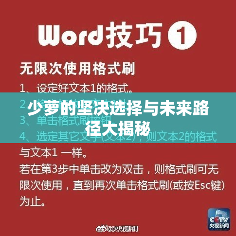 少萝的坚决选择与未来路径大揭秘
