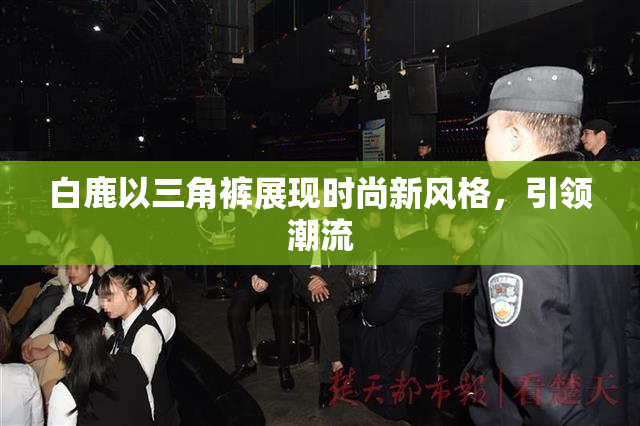 白鹿以三角裤展现时尚新风格，引领潮流