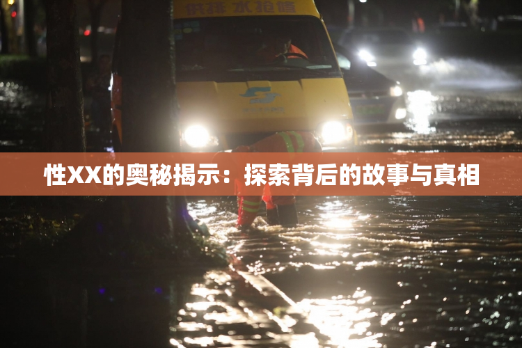 性XX的奥秘揭示：探索背后的故事与真相