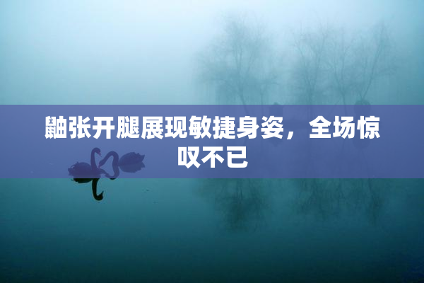 鼬张开腿展现敏捷身姿，全场惊叹不已