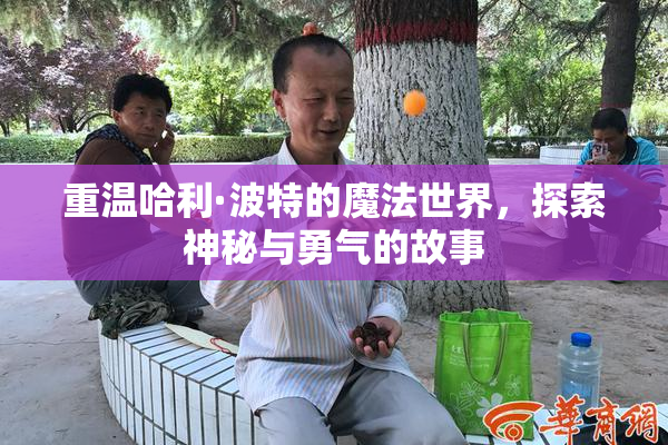 重温哈利·波特的魔法世界，探索神秘与勇气的故事