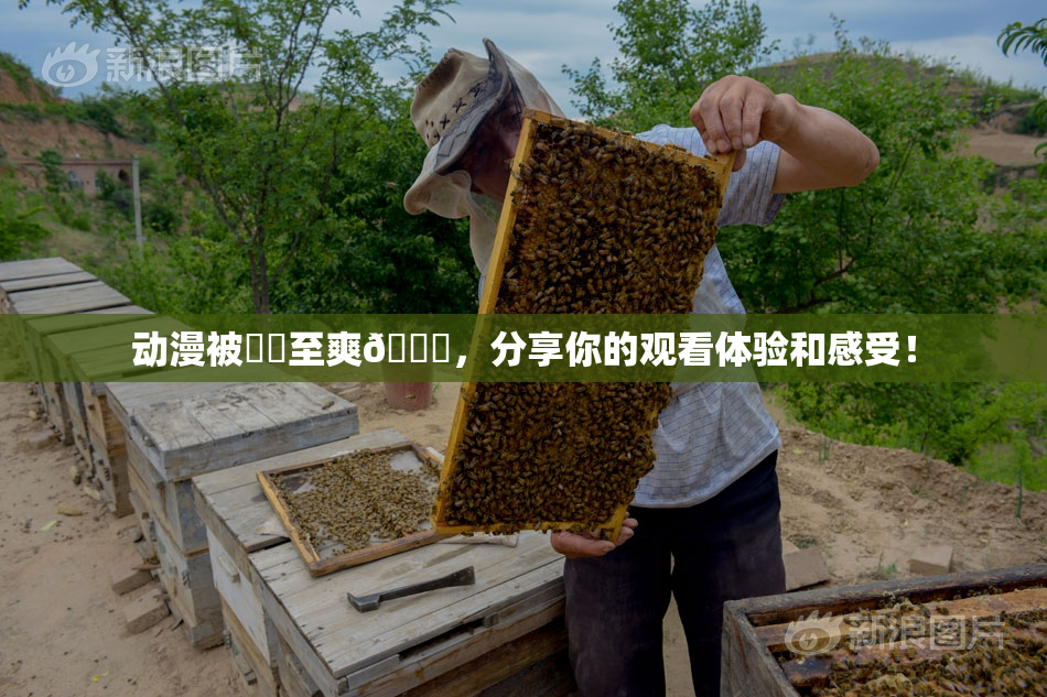 动漫被❌‌至爽🔞，分享你的观看体验和感受！