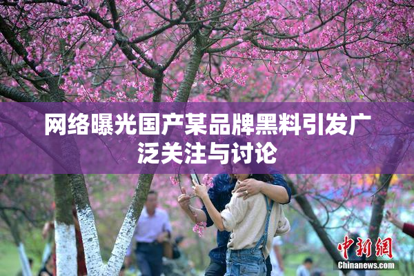 网络曝光国产某品牌黑料引发广泛关注与讨论