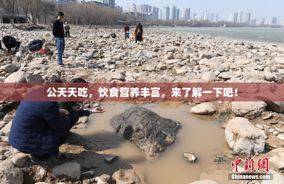 公天天吃，饮食营养丰富，来了解一下吧！