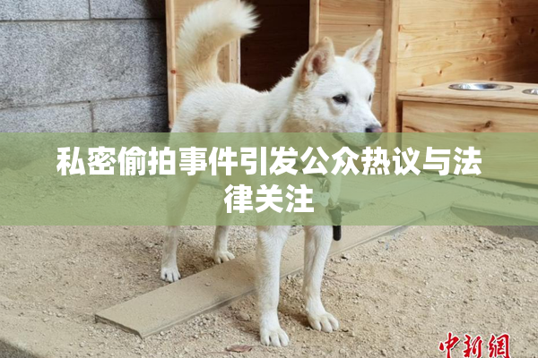 私密偷拍事件引发公众热议与法律关注
