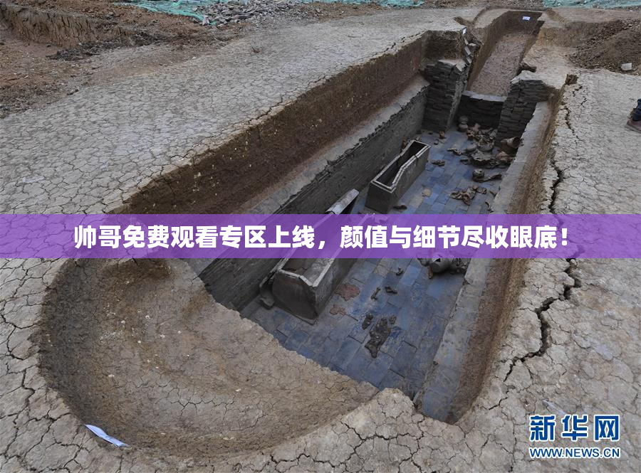 帅哥免费观看专区上线，颜值与细节尽收眼底！