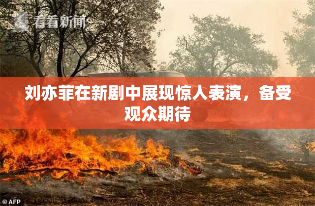 刘亦菲在新剧中展现惊人表演，备受观众期待