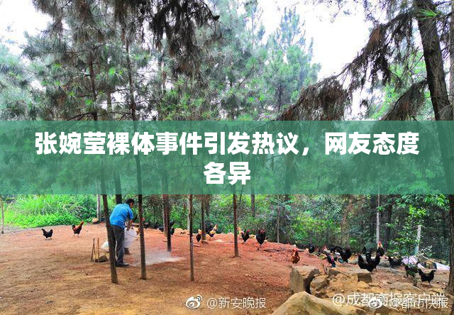张婉莹裸体事件引发热议，网友态度各异