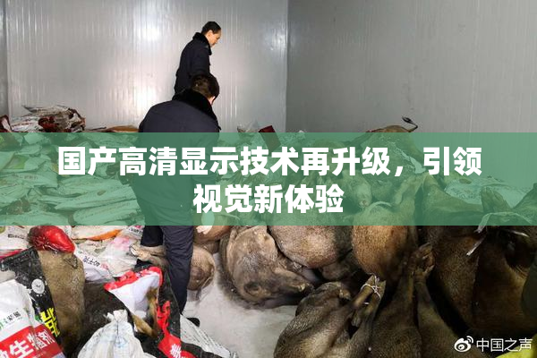 国产高清显示技术再升级，引领视觉新体验