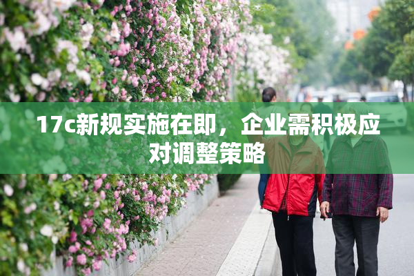 17c新规实施在即，企业需积极应对调整策略