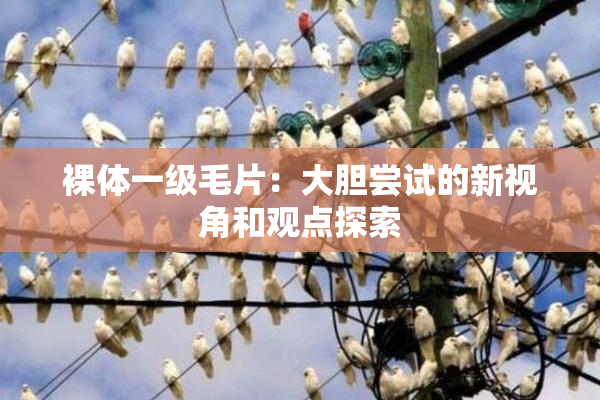 裸体一级毛片：大胆尝试的新视角和观点探索
