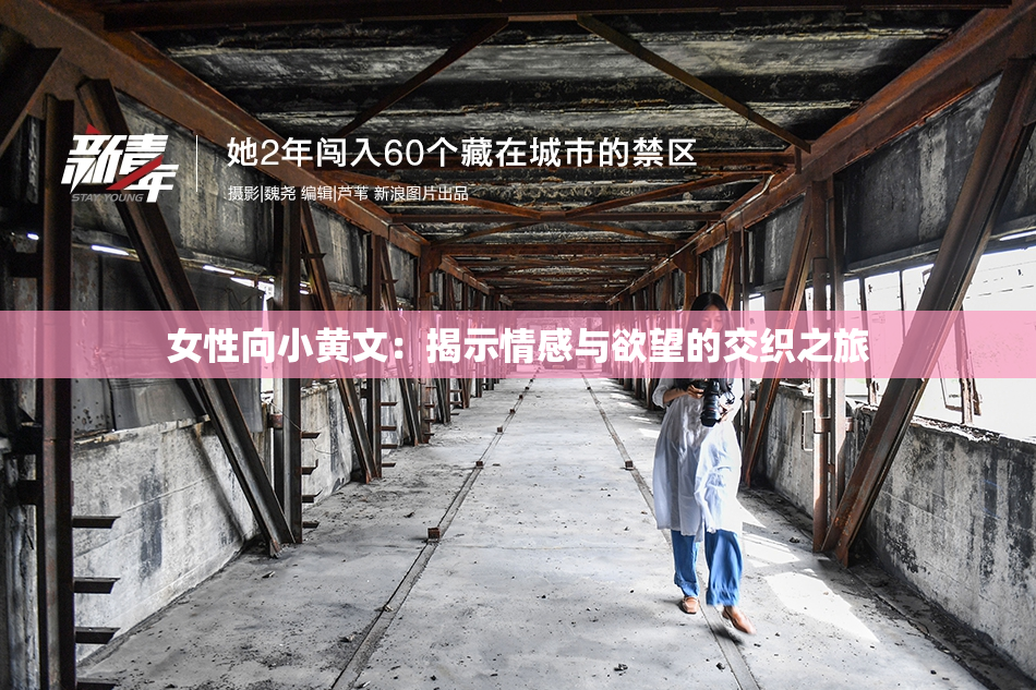 女性向小黄文：揭示情感与欲望的交织之旅