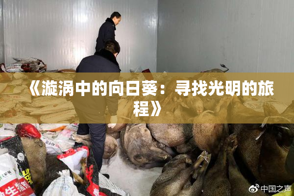 《漩涡中的向日葵：寻找光明的旅程》