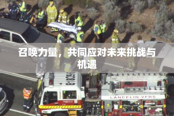 召唤力量，共同应对未来挑战与机遇