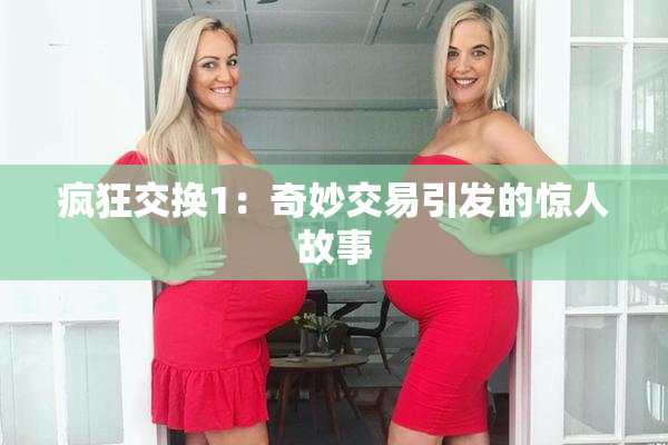 疯狂交换1：奇妙交易引发的惊人故事