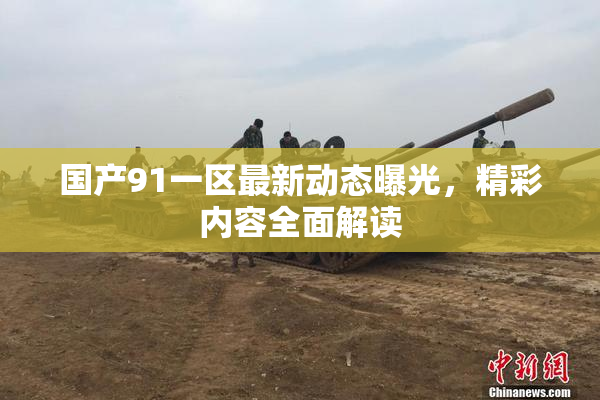 国产91一区最新动态曝光，精彩内容全面解读