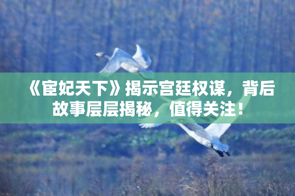 《宦妃天下》揭示宫廷权谋，背后故事层层揭秘，值得关注！