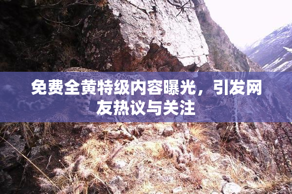 免费全黄特级内容曝光，引发网友热议与关注