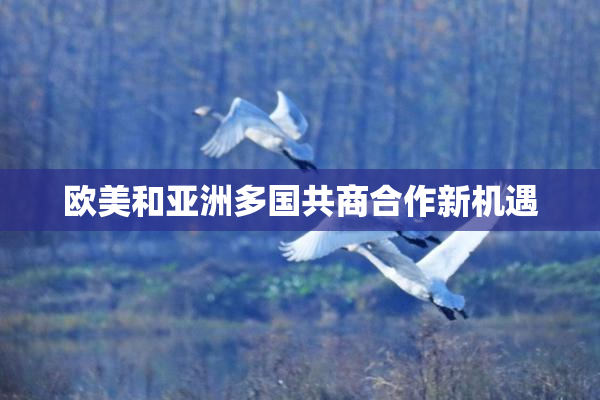 欧美和亚洲多国共商合作新机遇