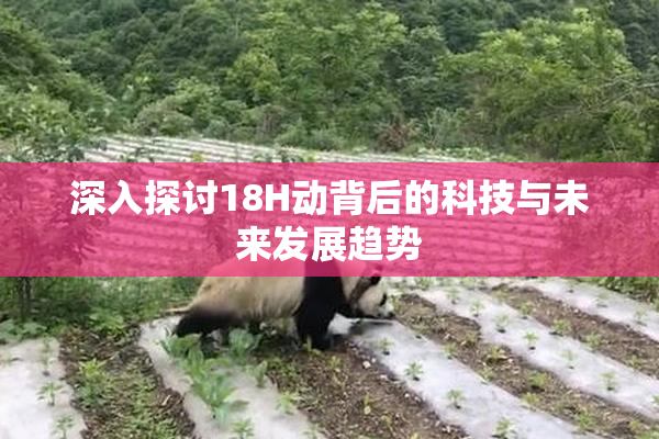 深入探讨18H动背后的科技与未来发展趋势