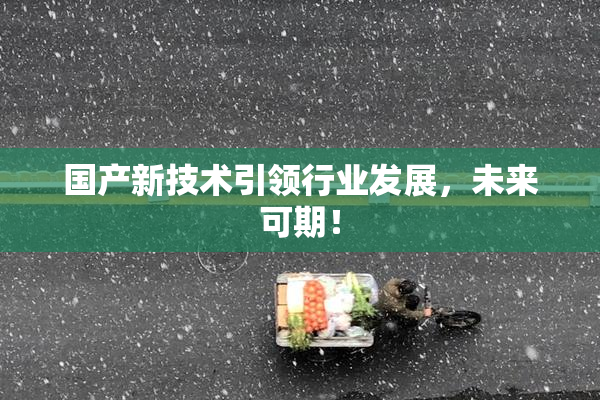 国产新技术引领行业发展，未来可期！
