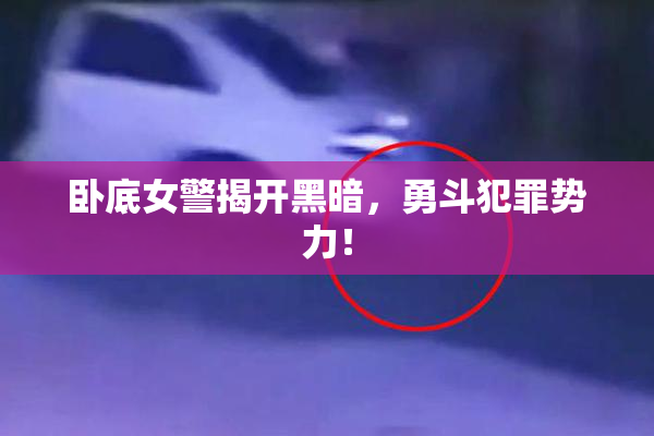 卧底女警揭开黑暗，勇斗犯罪势力！