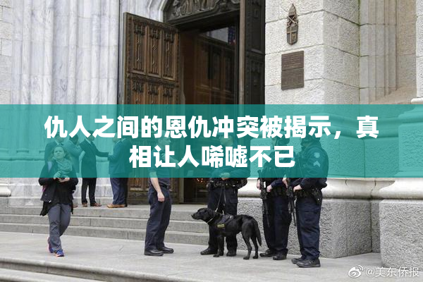 仇人之间的恩仇冲突被揭示，真相让人唏嘘不已