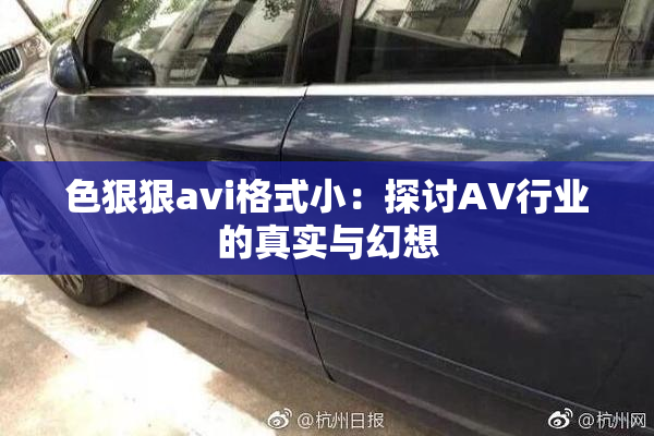 色狠狠avi格式小：探讨AV行业的真实与幻想