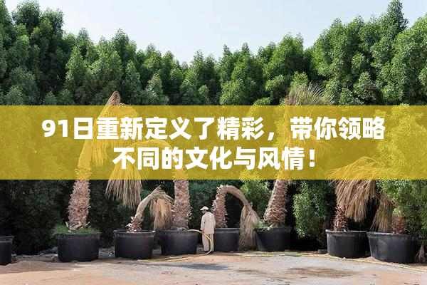 91日重新定义了精彩，带你领略不同的文化与风情！