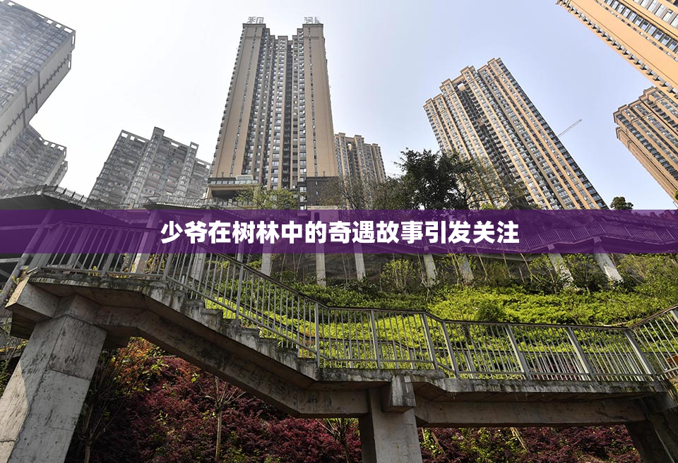 少爷在树林中的奇遇故事引发关注