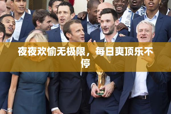 夜夜欢愉无极限，每日爽顶乐不停
