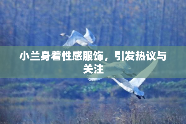 小兰身着性感服饰，引发热议与关注
