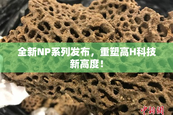 全新NP系列发布，重塑高H科技新高度！