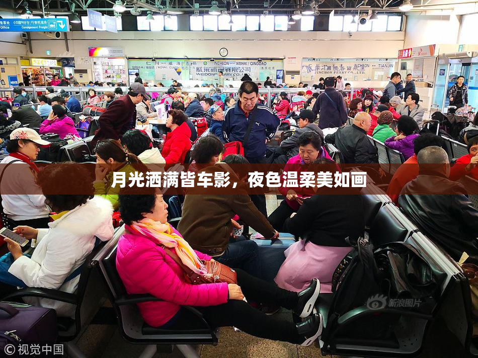 月光洒满皆车影，夜色温柔美如画