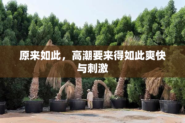 原来如此，高潮要来得如此爽快与刺激