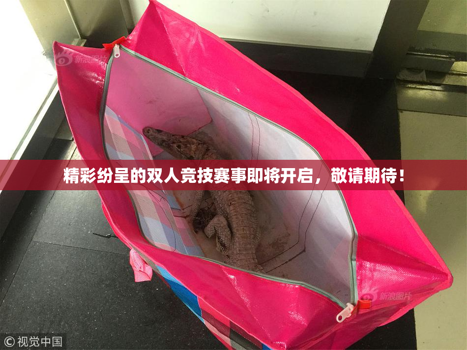 精彩纷呈的双人竞技赛事即将开启，敬请期待！