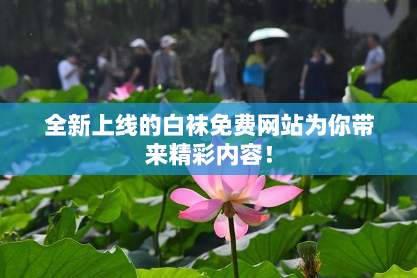 全新上线的白袜免费网站为你带来精彩内容！