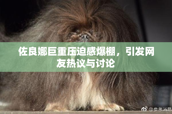 佐良娜巨重压迫感爆棚，引发网友热议与讨论