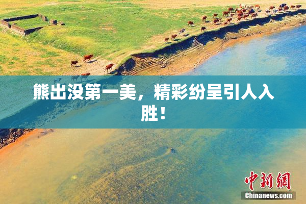 熊出没第一美，精彩纷呈引人入胜！