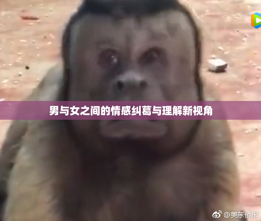 男与女之间的情感纠葛与理解新视角
