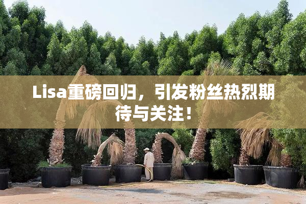 Lisa重磅回归，引发粉丝热烈期待与关注！