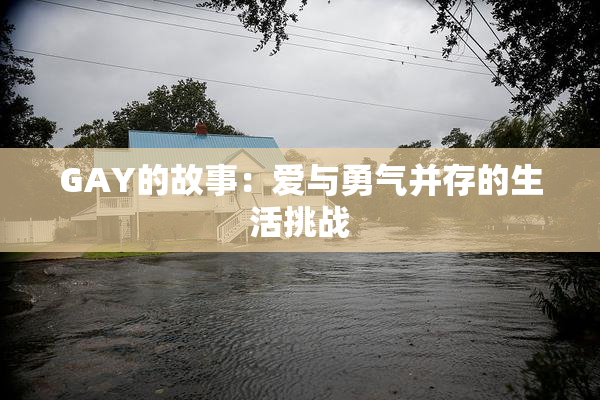 GAY的故事：爱与勇气并存的生活挑战