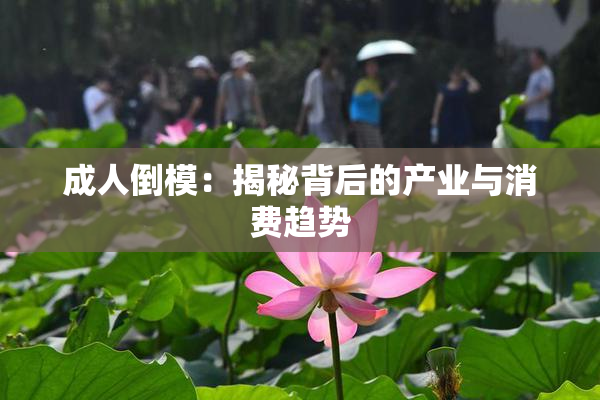 成人倒模：揭秘背后的产业与消费趋势