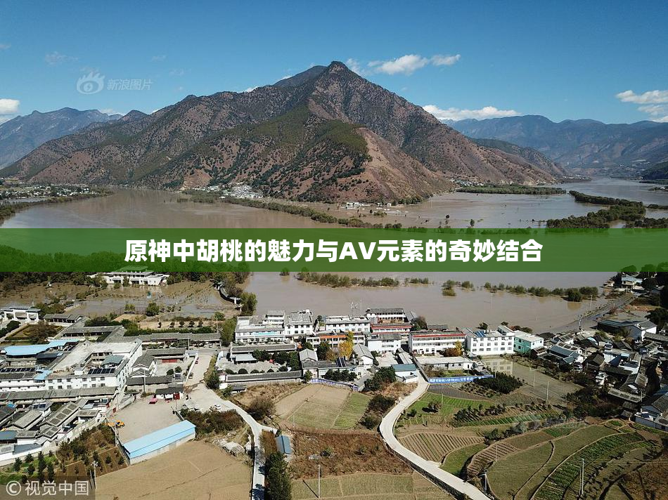 原神中胡桃的魅力与AV元素的奇妙结合